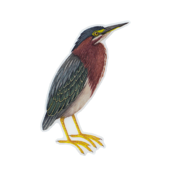 Wholesale Vinyl Sticker: Green Heron