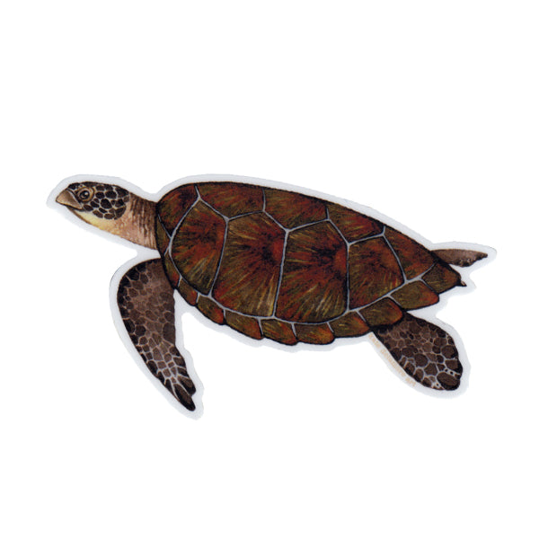 Wholesale Vinyl Sticker: Green Sea Turtle (2026)