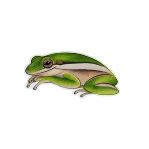 Wholesale Vinyl Sticker: Green Tree Frog
