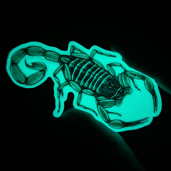 Wholesale Vinyl Sticker: Hentz Striped Scorpion Glow in the Dark