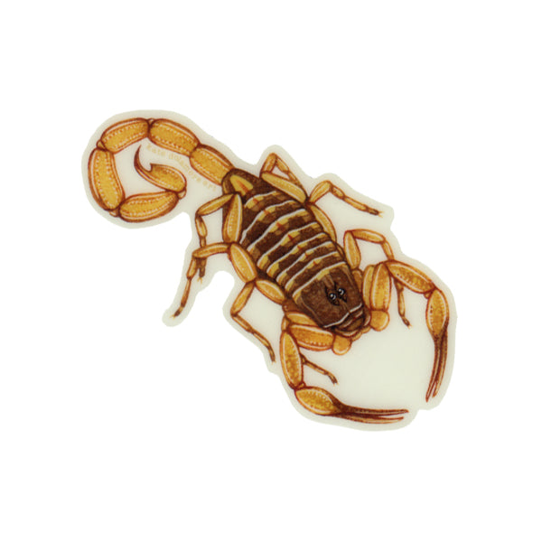 Wholesale Vinyl Sticker: Hentz Striped Scorpion Glow in the Dark