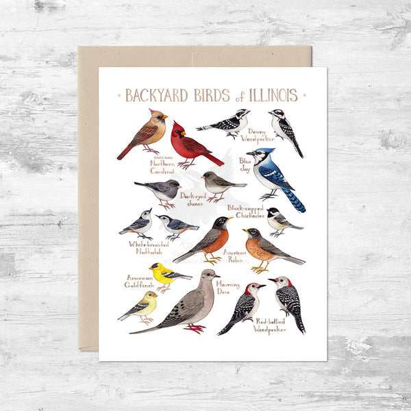 Backyard Birds of Illinois Note Card
