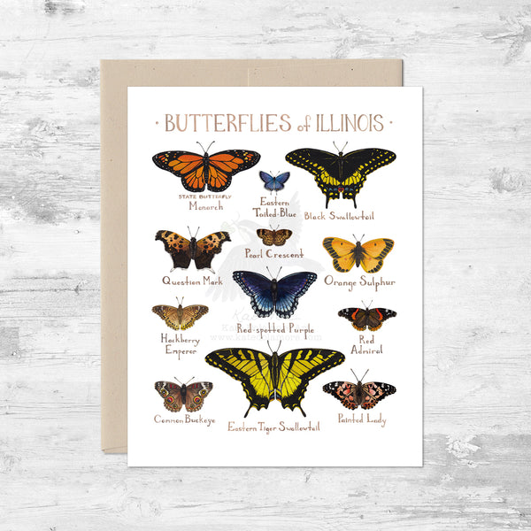 Butterflies of Illinois Note Card