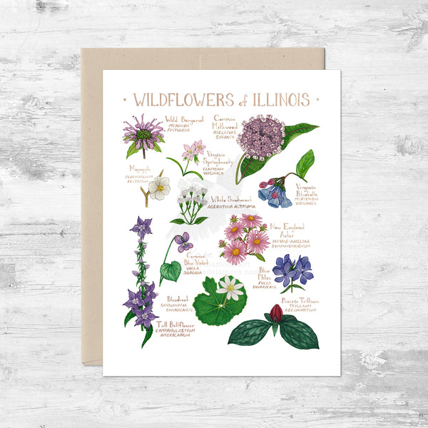 Wildflowers of Illinois Note Card