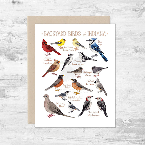 Backyard Birds of Indiana Note Card