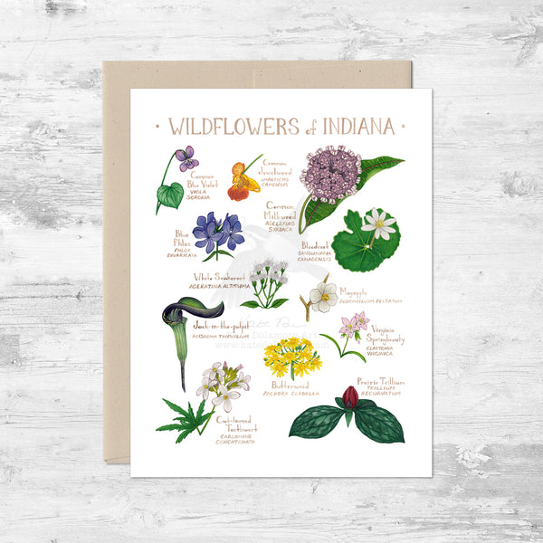 Wildflowers of Indiana Note Card