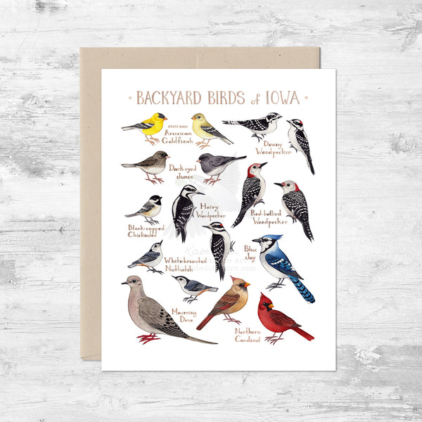 Backyard Birds of Iowa Note Card