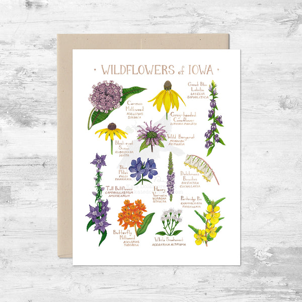 Wildflowers of Iowa Note Card