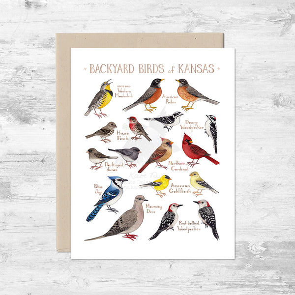 Backyard Birds of Kansas Note Card