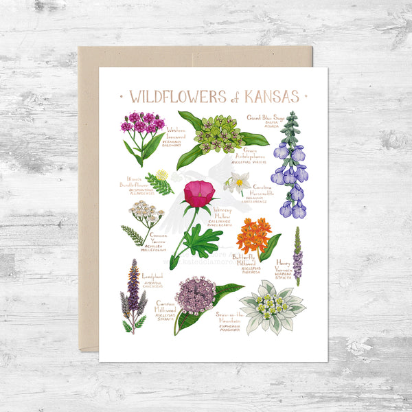 Wildflowers of Kansas Note Card