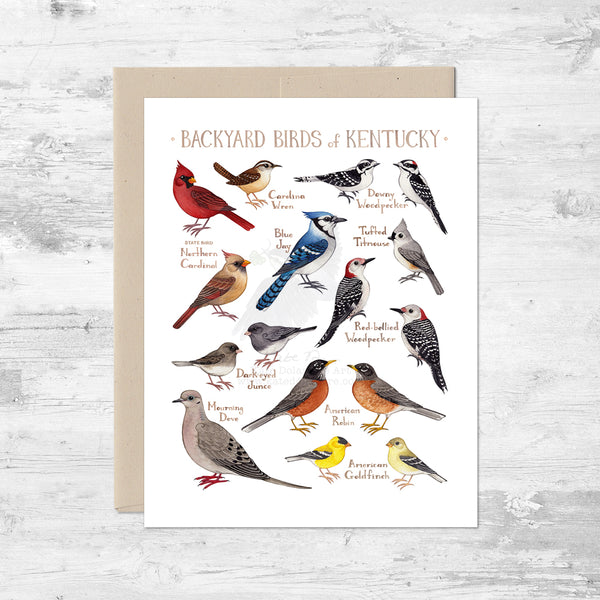 Backyard Birds of Kentucky Note Card