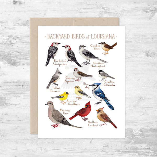 Backyard Birds of Louisiana Note Card