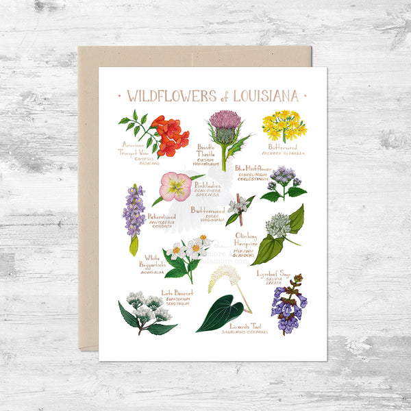 Wildflowers of Louisiana Note Card