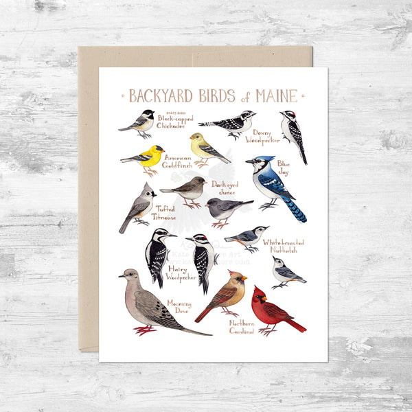 Backyard Birds of Maine Note Card