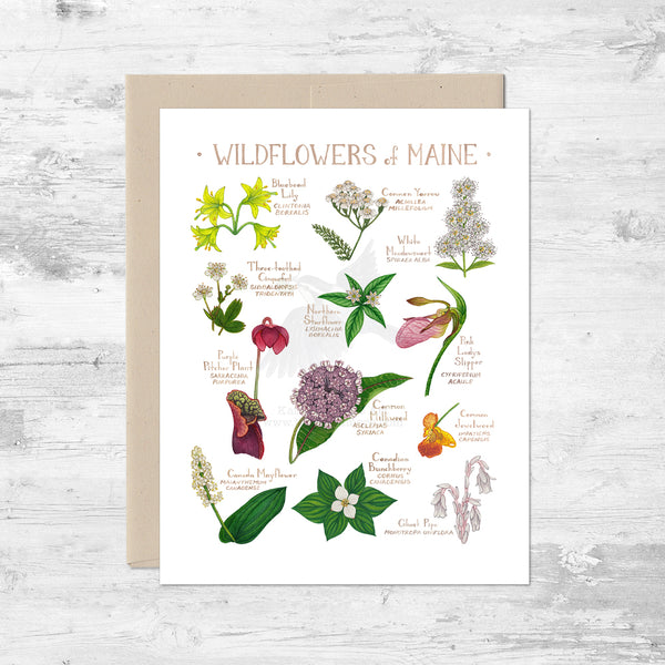 Wildflowers of Maine Note Card