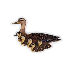 Wholesale Vinyl Sticker: Mallard with Ducklings