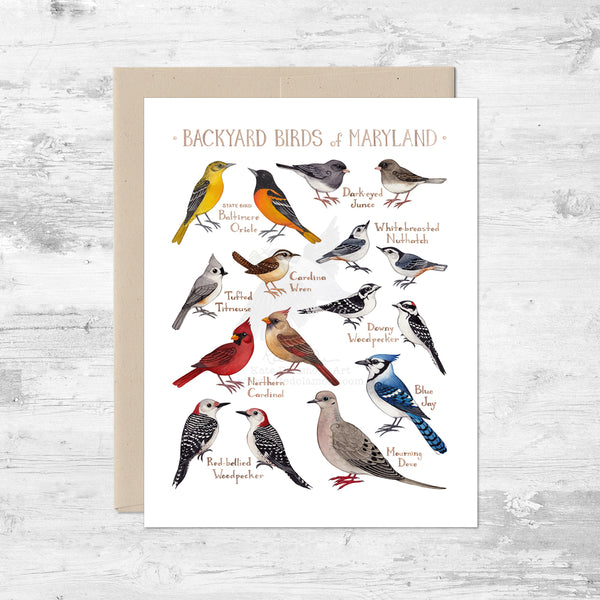 Backyard Birds of Maryland Note Card