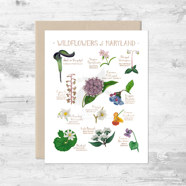 Wildflowers of Maryland Note Card