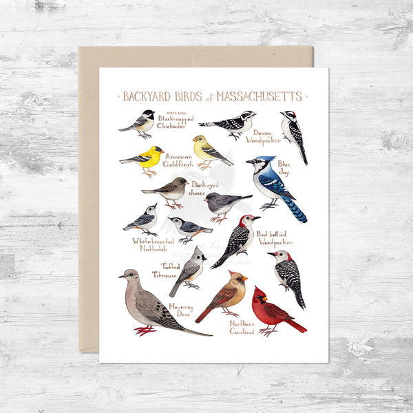Backyard Birds of Massachusetts Note Card