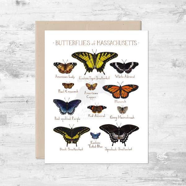 Butterflies of Massachusetts Note Card