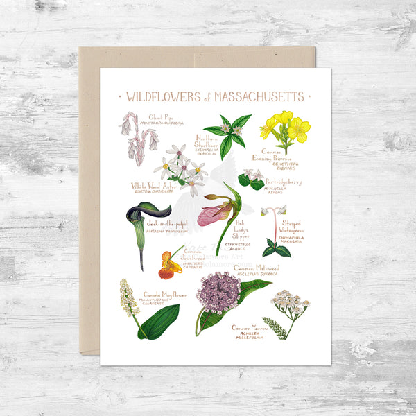 Wildflowers of Massachusetts Note Card