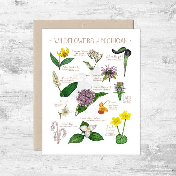 Wildflowers of Michigan Note Card