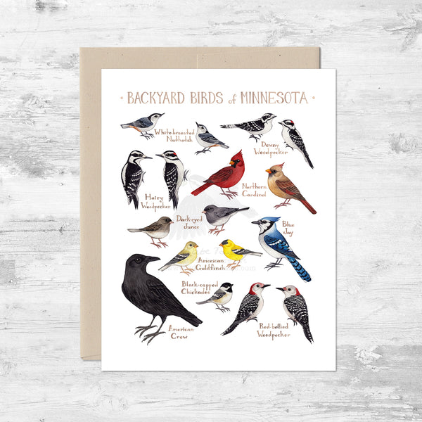 Backyard Birds of Minnesota Note Card