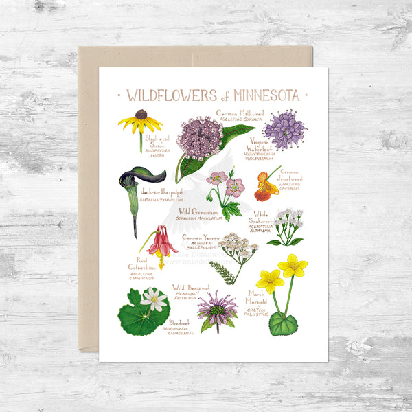 Wildflowers of Minnesota Note Card