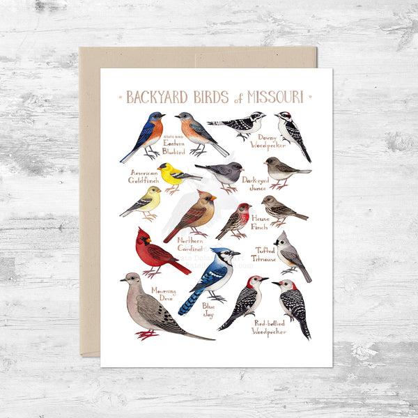 Backyard Birds of Missouri Note Card