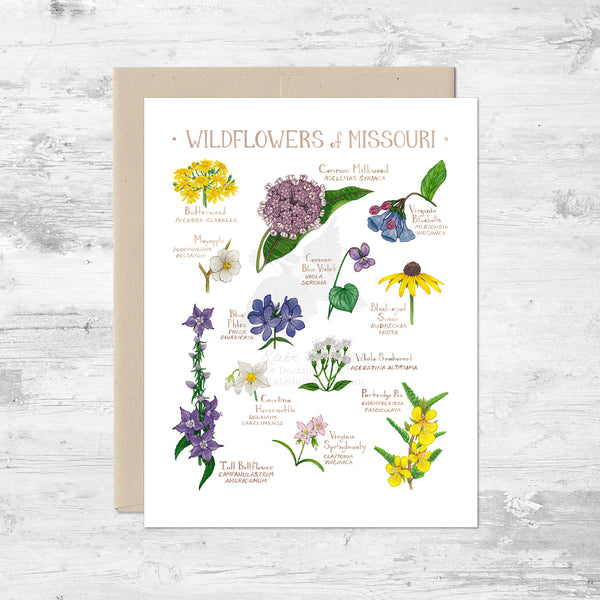 Wildflowers of Missouri Note Card