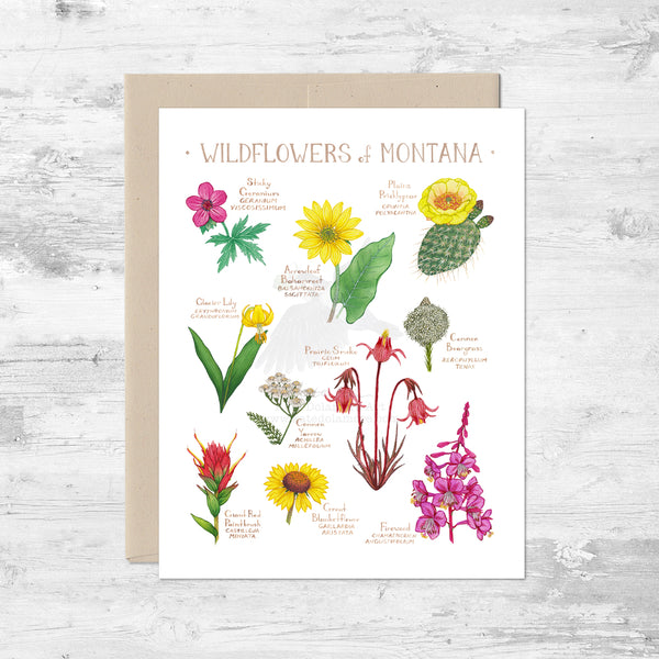 Wildflowers of Montana Note Card