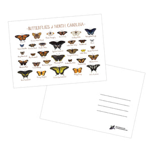Butterflies of North Carolina 5x7 Postcard