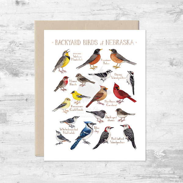 Backyard Birds of Nebraska Note Card
