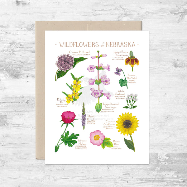 Wildflowers of Nebraska Note Card