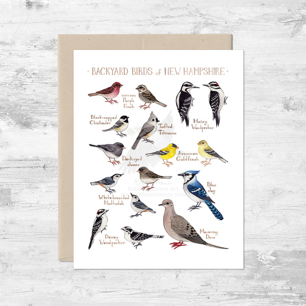 Backyard Birds of New Hampshire Note Card