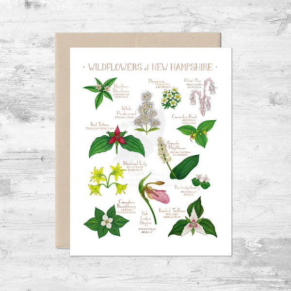 Wildflowers of New Hampshire Note Card