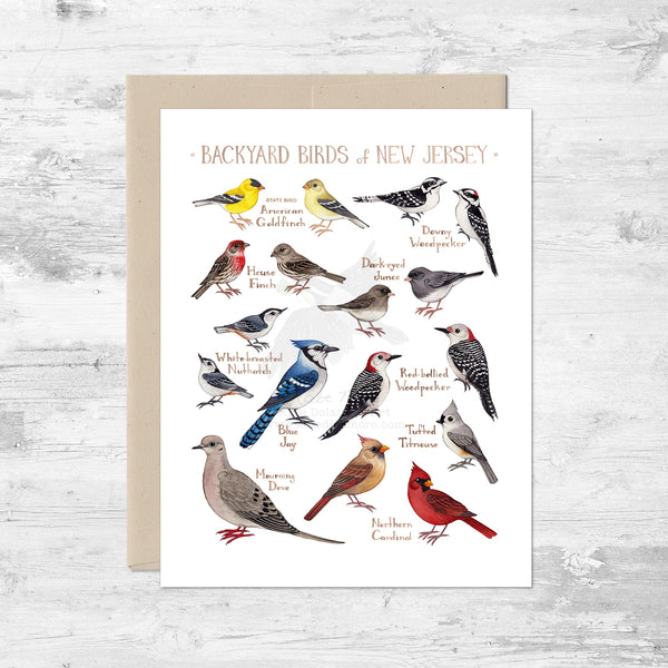 Backyard Birds of New Jersey Note Card