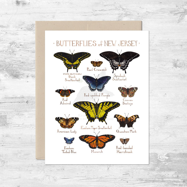 Butterflies of New Jersey Note Card