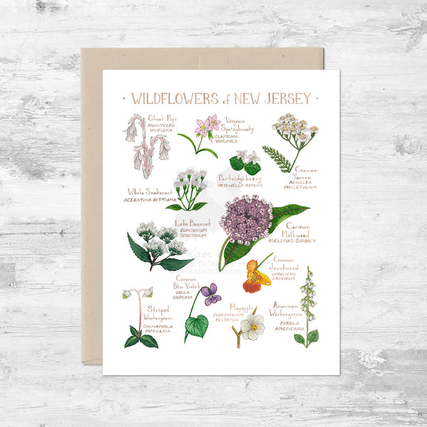 Wildflowers of New Jersey Note Card