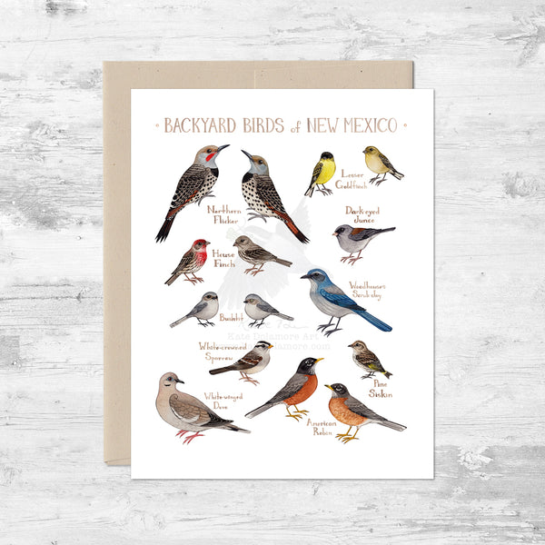Backyard Birds of New Mexico Note Card