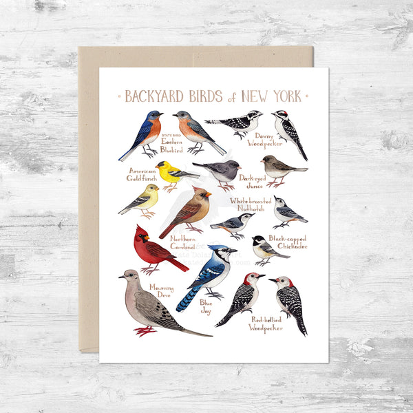 Backyard Birds of New York Note Card