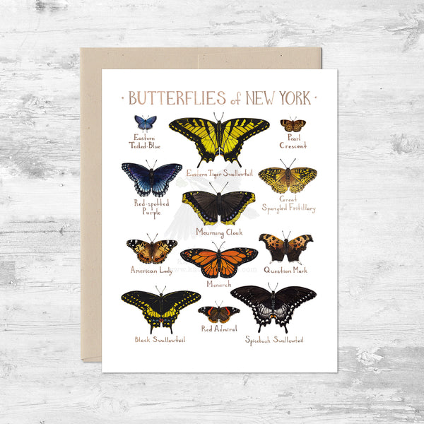 Butterflies of New York Note Card