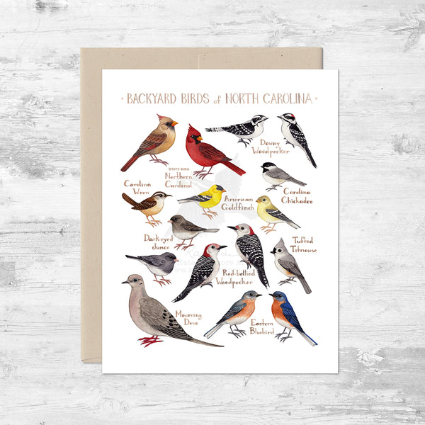 Backyard Birds of North Carolina Note Card
