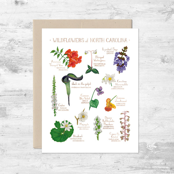 Wildflowers of North Carolina Note Card