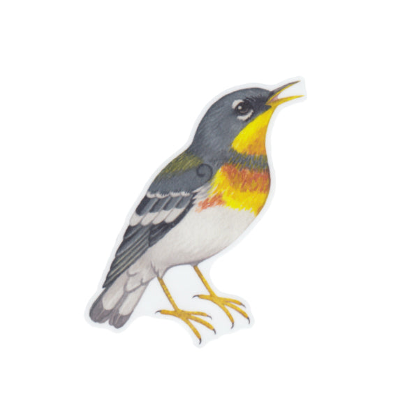 Wholesale Vinyl Sticker: Northern Parula