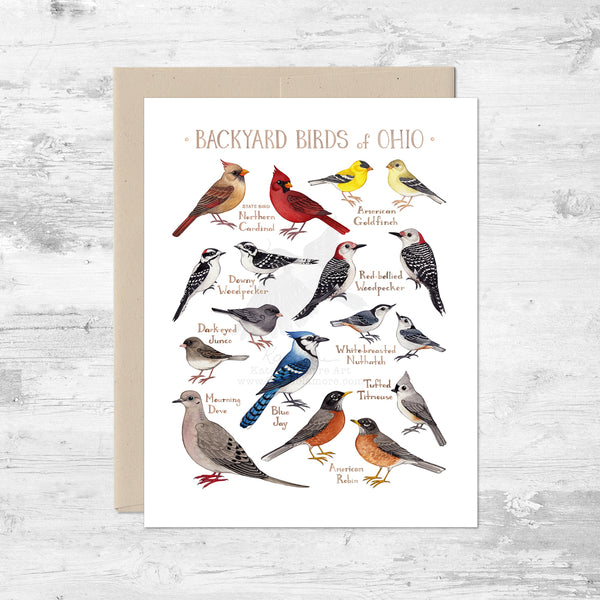 Backyard Birds of Ohio Note Card