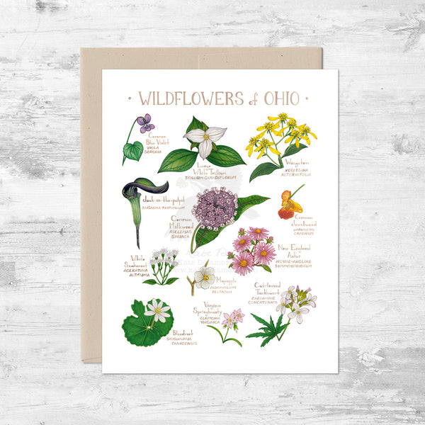 Wildflowers of Ohio Note Card