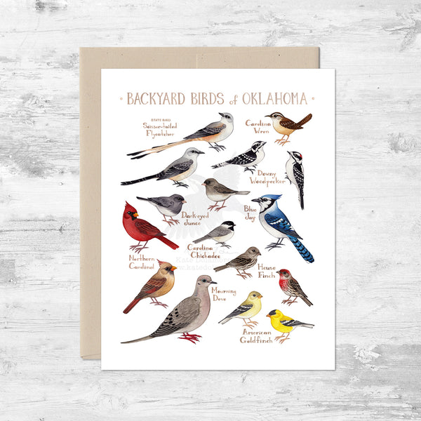 Backyard Birds of Oklahoma Note Card