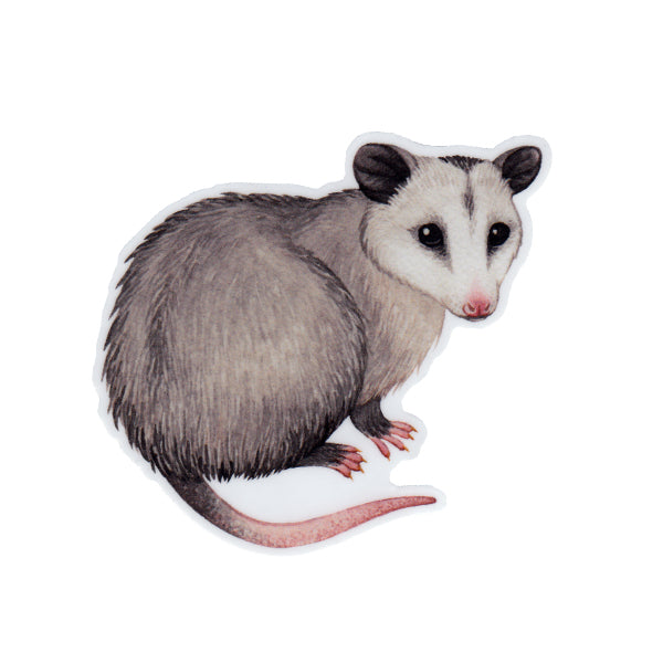 Wholesale Vinyl Sticker: Opossum