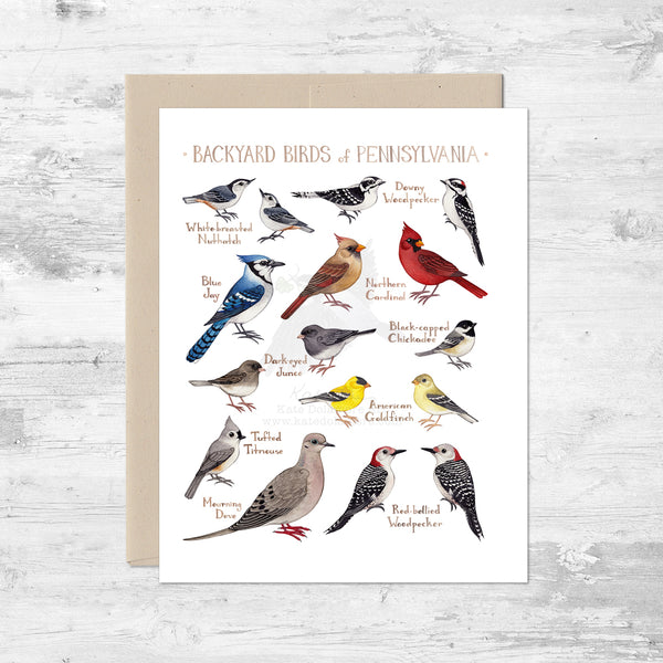 Backyard Birds of Pennsylvania Note Card